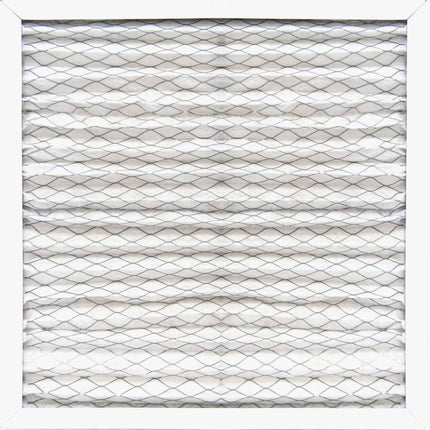 XPOWER PF16 Pleated Media Filter - XPOWER Filter - XPOWER