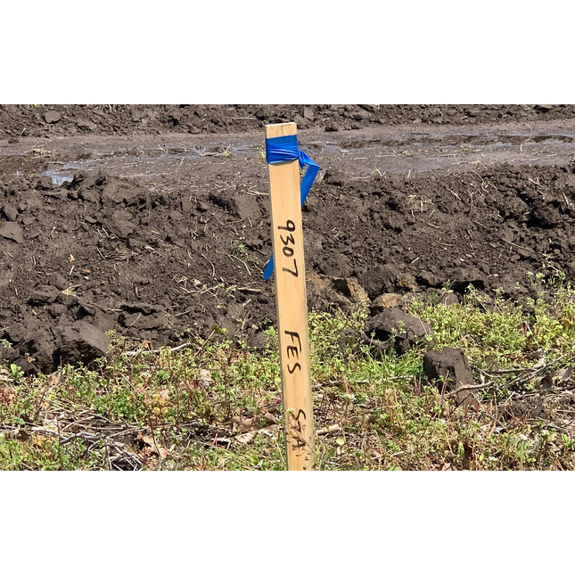 U-Mark - M2 Ink Marker (Pack of 12)